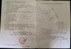 Nhà Đẹp hẻm xe hơi gần Mặt Tiền Hoàng Bật Đạt F15 Tân Bình... Bán nhà riêng tại Tân Sơn, Hồ Chí Minh 04