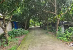 Cơ Hội Đầu Tư Hiếm Có: Lô Đất Đẹp Ngay Trung Tâm Đức Hợp!... Bán đất tại Đức Hợp, Hưng Yên 04