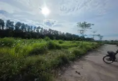 Bán đất Cửu Cao-Văn Giang, đất phân lô, đường rộng vỉa hè, Nhỉnh 1 tỷ.... Bán đất tại Phụng Công, Hưng Yên 02