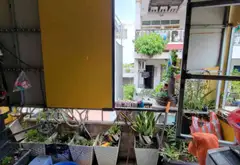 Bán nhà riêng hẻm 766 Cách Mạng Tháng 8, 41.7m2, 4 tầng, Xe Hơi Thông... Bán nhà riêng tại Tân Sơn Nhất, Hồ Chí Minh 13