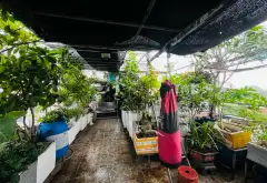 🔥 BÁN NHÀ ĐƯỜNG SỐ 11 – LINH XUÂN – 65M² – 2 MẶT HẺM XE TẢI – 3 TẦNG – 8,2 TỶ... Bán nhà mặt phố tại Linh Xuân, Hồ Chí Minh 04