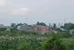 Đất Trồng Cây Tân Túc Giá Tốt - Mặt Tiền Rộng 59m... Bán đất tại Tân Nhựt, Hồ Chí Minh 11