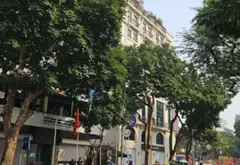 Nhà Mặt Phố Độc Tôn Kề Hồ Hoàn Kiếm, Tiềm Năng Trung Tâm Thương Mại Cao Cấp... Bán nhà mặt phố tại Cửa Nam, Hà Nội 01