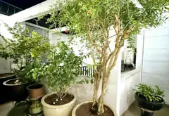 Nhà Mới Xây, Thoáng Đẹp Tại Đống Đa, Hà Nội... Bán nhà riêng tại Đống Đa, Hà Nội 10