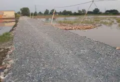 Đất Hiếm Xã Củ Chi Đồng Giá Hấp Dẫn 45 Tỷ... Bán đất tại Củ Chi, Hồ Chí Minh 07