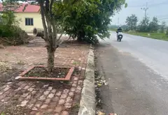 Bán đất 125m² tại Phường Ninh Xá, Bắc Ninh, mặt tiền 5m, đường trước nhà 9m... Bán đất tại Ninh Xá, Bắc Ninh 05