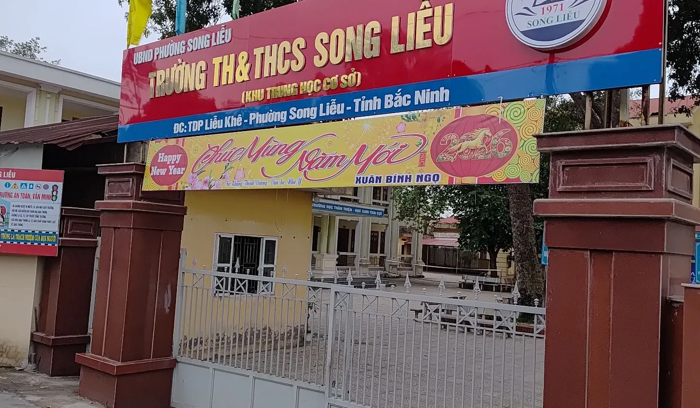 bán lô đất 95m2 mặt tiền 5m tại song liễu liễu khê.bắc ninh... Bán đất tại Song Liễu, Bắc Ninh 01