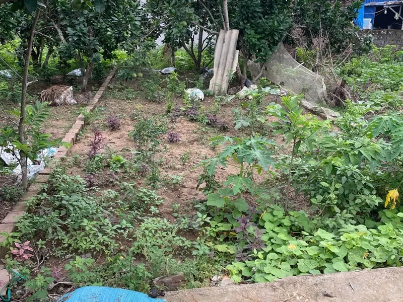 Lô đất đẹp tại thôn Hầu, Lâm Động, Thủy Nguyên, hướng Nam thoáng mát... Bán đất tại Thiên Hương, Hải Phòng 01