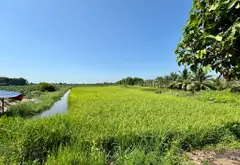 Bán đất 2000m2 mặt tiền kênh xã Lê Minh Xuân, Bình Chánh... Bán đất tại Bình Lợi, Hồ Chí Minh 06