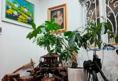 Bán biệt thự liền kề phường Phú Thượng, Hà Nội, lô góc mặt tiền 10m, 5 tầng, giá 33 tỷ... Bán biệt thự, liền kề tại Phú Thượng, Hà Nội 08