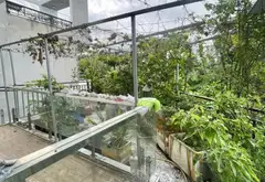 Nhà riêng 3 tầng diện tích 55,4m2 khu vực Nguyễn Xiển thuận tiện và thoáng mát... Bán nhà riêng tại Long Bình, Hồ Chí Minh 07