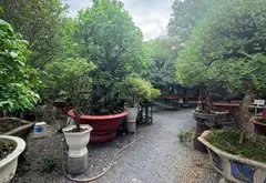 Bán nhà riêng có đất xây biệt thự rộng 442m2 tại phường An Nhơn, Gò Vấp... Bán nhà riêng tại An Nhơn, Hồ Chí Minh 09