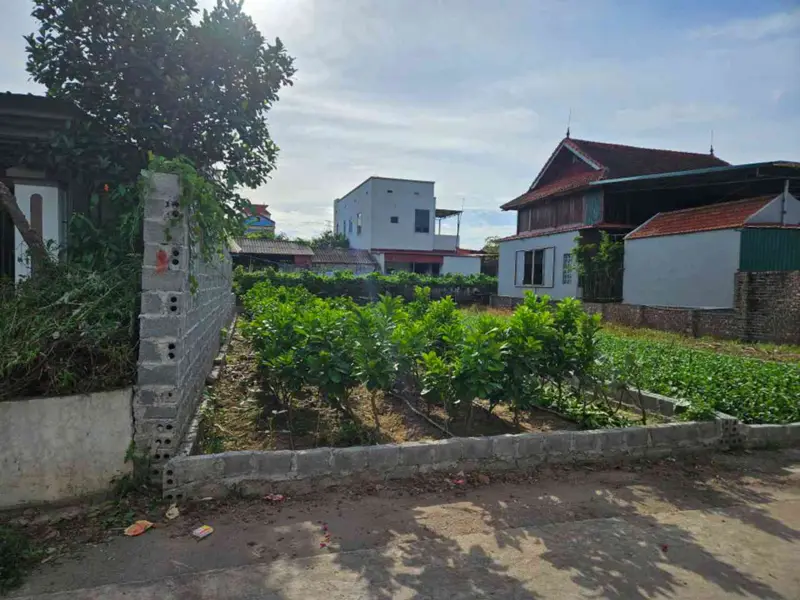 Đất thổ cư đông tảo-hưng yên vị trí tiềm lăng theo dự án vành đai 4 và sân vận động PVF..vv... Bán đất tại Hoàn Long, Hưng Yên 01