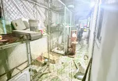 Bán nhà riêng 1 tầng 56.3m² hẻm xe ôtô nhỏ Bùi Công Trừng, Đông Thạnh, Hóc Môn giá 3.05 tỷ... Bán nhà riêng tại Đông Thạnh, Hồ Chí Minh 11