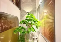 Bán nhà Phạm Văn Chiêu 65m2, 5 tầng 4PN hẻm ôtô, Full Nội Thất... Bán nhà riêng tại An Hội Đông, Hồ Chí Minh 16
