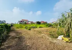 Đất Văn Giang mặt tiền rộng, tiềm năng đầu tư siêu hot... Bán đất tại Văn Giang, Hưng Yên 05