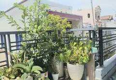 Bán nhà riêng 2 tầng tại Phường Bình Đông, Quận 8, diện tích 38.8 m2... Bán nhà riêng tại Bình Đông, Hồ Chí Minh 04