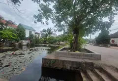 Bán đất văn giang sát đại học bách khoa đường oto chánh diện tích 70m2 mặt tiền 5m giá 4,1 tỷ... Bán đất tại Văn Giang, Hưng Yên 09