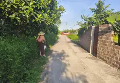 Cơ Hội Vàng Sở Hữu Đất Vị Trí Vàng Thiên Hương Thủy Nguyên... Bán đất tại Thiên Hương, Hải Phòng 02