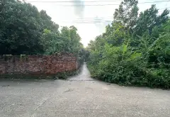 Bán đất lô góc 2 mặt tiền tại thôn Phú Cường, Kim Anh, Hà Nội... Bán đất tại Kim Anh, Hà Nội 05