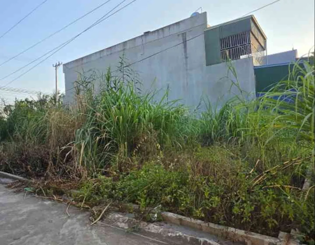 Đất nền hướng Đông Nam tại An Trường, thuận tiện ô tô ra vào, diện tích 62.1m²... Bán đất tại An Trường, Hải Phòng 01