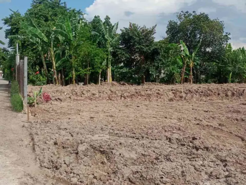 Đất đẹp sổ hồng riêng tại Bà Điểm, Hóc Môn – Hành trình an cư lý tưởng... Bán đất tại Bà Điểm, Hồ Chí Minh 01