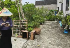 Lô đất vuông vắn hướng Tây Bắc tại Thủy Nguyên, Hải Phòng, diện tích rộng 66.9 m²... Bán đất tại Bạch Đằng, Hải Phòng 06