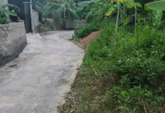 Cơ Hội Hiếm Có Sở Hữu Mảnh Đất Vàng Kèm Nhà Mộc Kiên Cố Tại Việt Khê, Thủy Nguyên... Bán đất tại Việt Khê, Hải Phòng 07