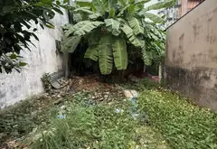Cơ hội sở hữu đất vàng Quận 7 ngay Huỳnh Tấn Phát với giá cực tốt... Bán đất tại Phú Thuận, Hồ Chí Minh 12