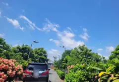 Đất Vườn Mặt Tiền Đường Tân Long Bình Chánh, Rộng 7800m2... Bán đất tại Tân Nhựt, Hồ Chí Minh 07