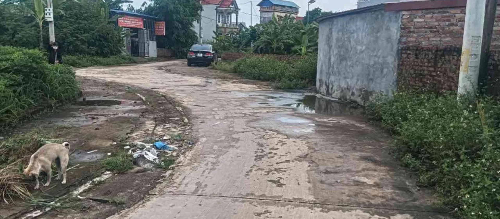 Đất mặt tiền rộng, vị trí đắc địa Bắc Sơn đón đầu cơ hội... Bán đất tại Trung Giã, Hà Nội 01