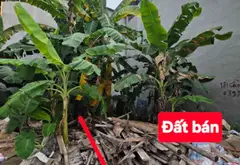Bán nhà riêng tại trung tâm Chúc Sơn - Chương Mỹ, diện tích 32m², pháp lý rõ ràng... Bán nhà riêng tại Chương Mỹ, Hà Nội 04