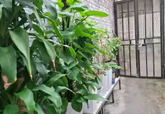 Nhà riêng xây dựng tỉ mỉ tại trung tâm Ngọc Thụy với nhiều tiện ích... Bán nhà riêng tại Bồ Đề, Hà Nội 01
