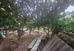 Cơ hội sở hữu lô đất mặt tiền rộng ô tô vào tận nơi tại Ngọc Động Bát Tràng với giá cực tốt... Bán đất tại Bát Tràng, Hà Nội 17