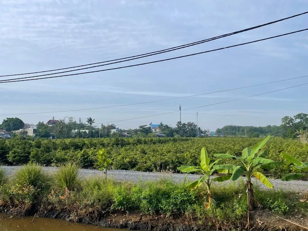 Bán đất 3839m2 mặt tiền 25m đường nhựa tại Bình Chánh... Bán đất tại Bình Lợi, Hồ Chí Minh 01