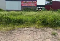 Bán đất mặt tiền 6m tại trung tâm thị trấn Sóc Sơn, pháp lý rõ ràng, giá 10,1 tỷ... Bán đất tại Sóc Sơn, Hà Nội 03