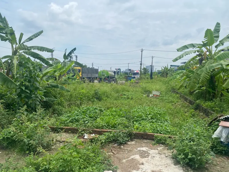 Bán đất 96m² tại khu dịch vụ Lại Yên, SÁT KDT AN LẠC , VƯỜN CAM VĐ3.5... Bán đất tại Sơn Đồng, Hà Nội 01