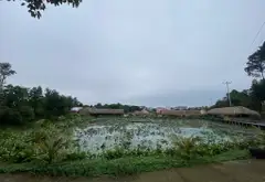 NHỈNH 3 TỶ - 56m2 ĐẤT CỔ LOA, NGÕ NÔNG, Ô TÔ ĐỖ CỬA... Bán đất tại Đông Anh, Hà Nội 06