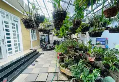 NHÀ SÂN VƯỜN HIẾM TÂN PHÚ – 360M² – NGANG KHỦNG 14M NỞ HẬU – CHƯA TỚI 100tr/m2... Bán nhà riêng tại Tây Thạnh, Hồ Chí Minh 08