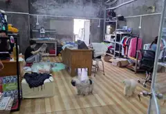 Nhà hẻm xe tải gần chợ Phú Lâm, diện tích 130m2, giá 14,5 tỷ... Bán nhà riêng tại Phú Lâm, Hồ Chí Minh 08