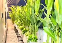 Bán nhà riêng 6 tầng có thang máy xịn tại Thống Nhất, diện tích 75.3m², giá 12.5 tỷ TL mạnh... Bán nhà riêng tại Thông Tây Hội, Hồ Chí Minh 19
