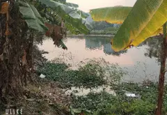 Mảnh đất vàng cạnh nhà máy Z117, vị trí đắc địa, giá hợp lý... Bán đất tại Sóc Sơn, Hà Nội 01