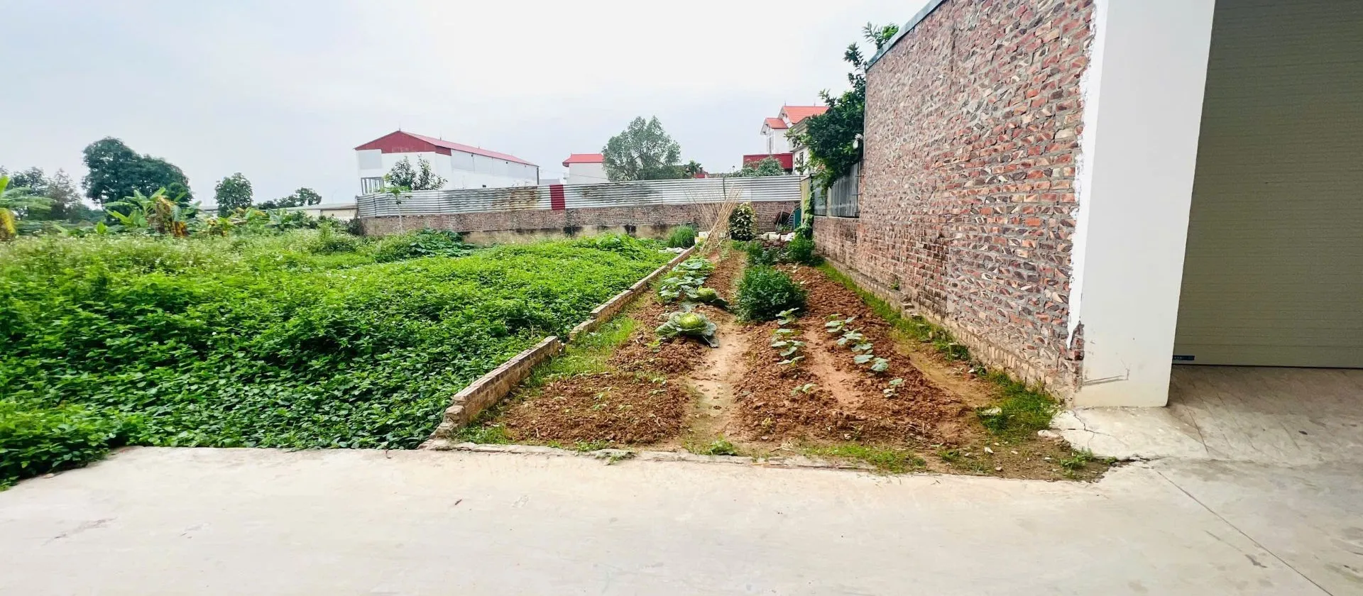 Bán đất FULL thổ cư . Lõi KCN NỘI BÀI . Gần sân bay QT Nội Bài... Bán đất tại Sóc Sơn, Hà Nội 01