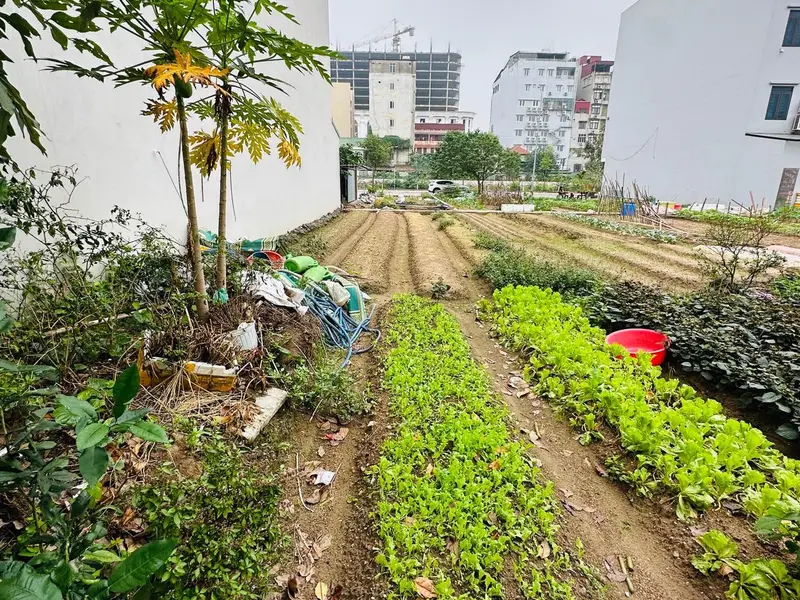 Đất hiếm Long Phương Trang Hạ trung tâm Từ Sơn giá cực tốt cần bán gấp... Bán đất tại Đồng Nguyên, Bắc Ninh 01