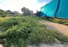 Mảnh đất rộng 133m² tại Tân Châu,Châu ninh ,Hưng Yên vị trí tiềm năng... Bán đất tại Khoái Châu, Hưng Yên 01