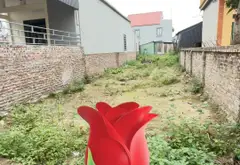 Mảnh đất vàng tại Lương Tài - cơ hội đầu tư hấp dẫn... Bán đất tại Lương Tài, Bắc Ninh 02