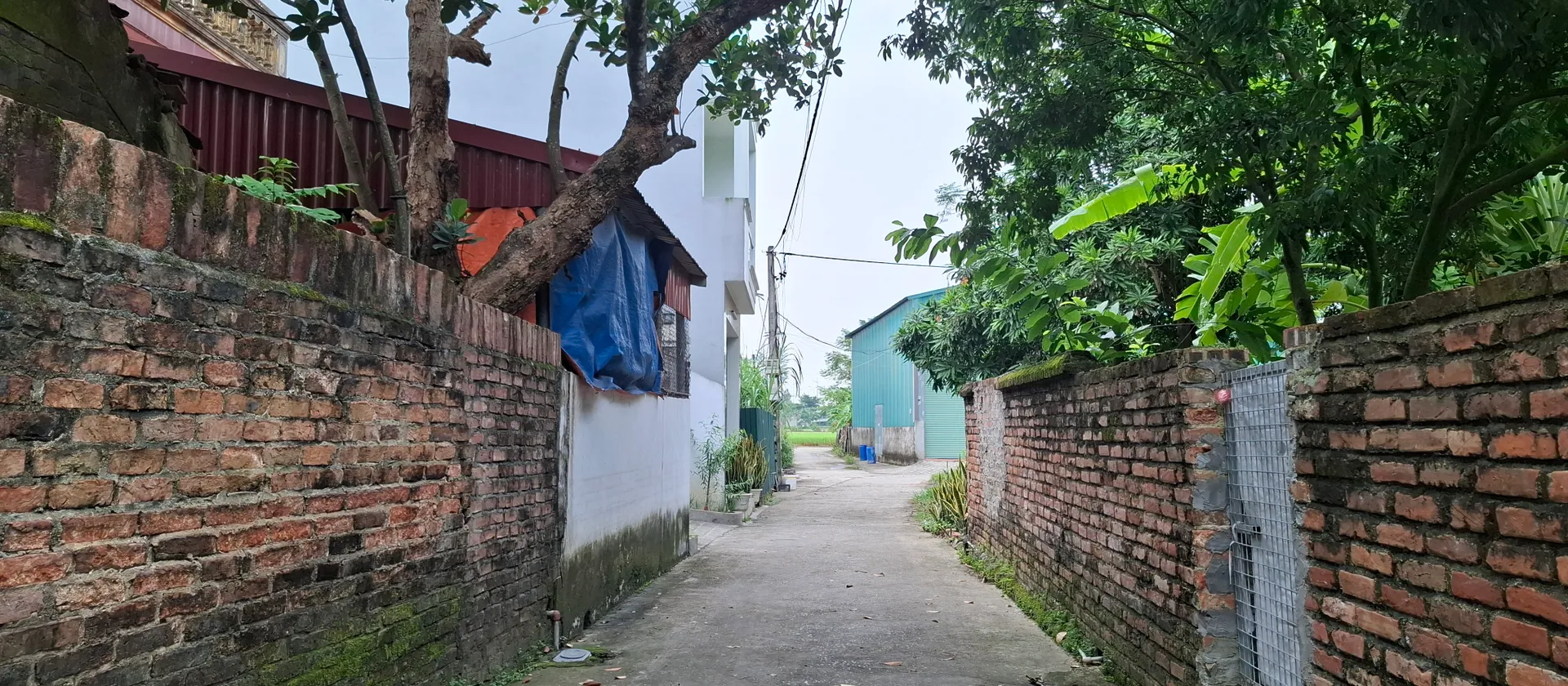 Bán đất Nội Bài - Sóc Sơn . 80m² FULL thổ cư . Ô tô vào tận đất... Bán đất tại Nội Bài, Hà Nội 01