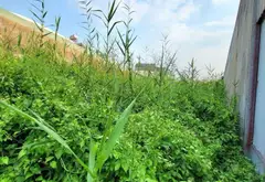 Bán đất mặt tiền đường Trần Văn Giàu, diện tích 216m2 giá 8.2 tỷ... Bán đất tại Bình Lợi, Hồ Chí Minh 09