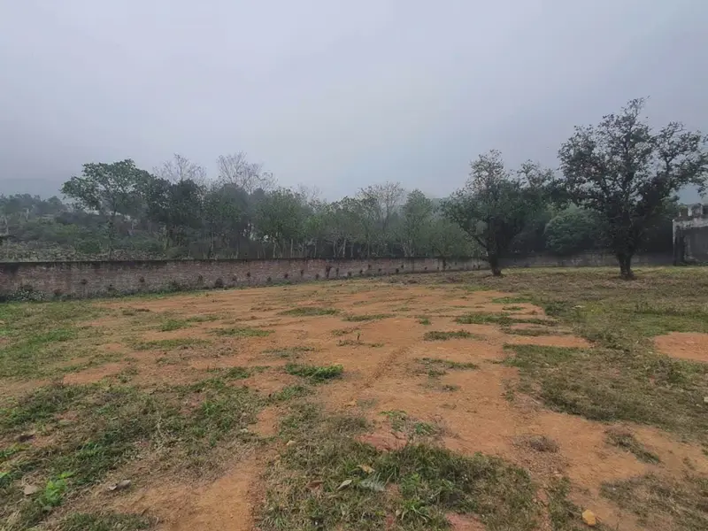 Đất Thanh Hà rộng 1468m², giá hợp lý, đầy tiềm năng phát triển... Bán đất tại Trung Giã, Hà Nội 01