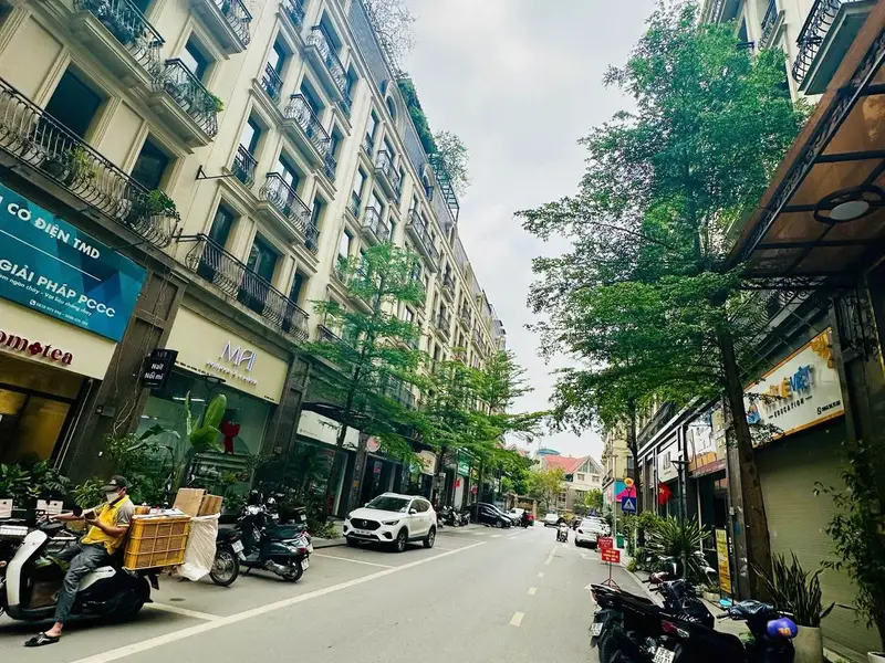 Biệt thự góc vị trí đắc địa liền kề khu đô thị Terra An Hưng... Bán biệt thự, liền kề tại Hà Đông, Hà Nội 01